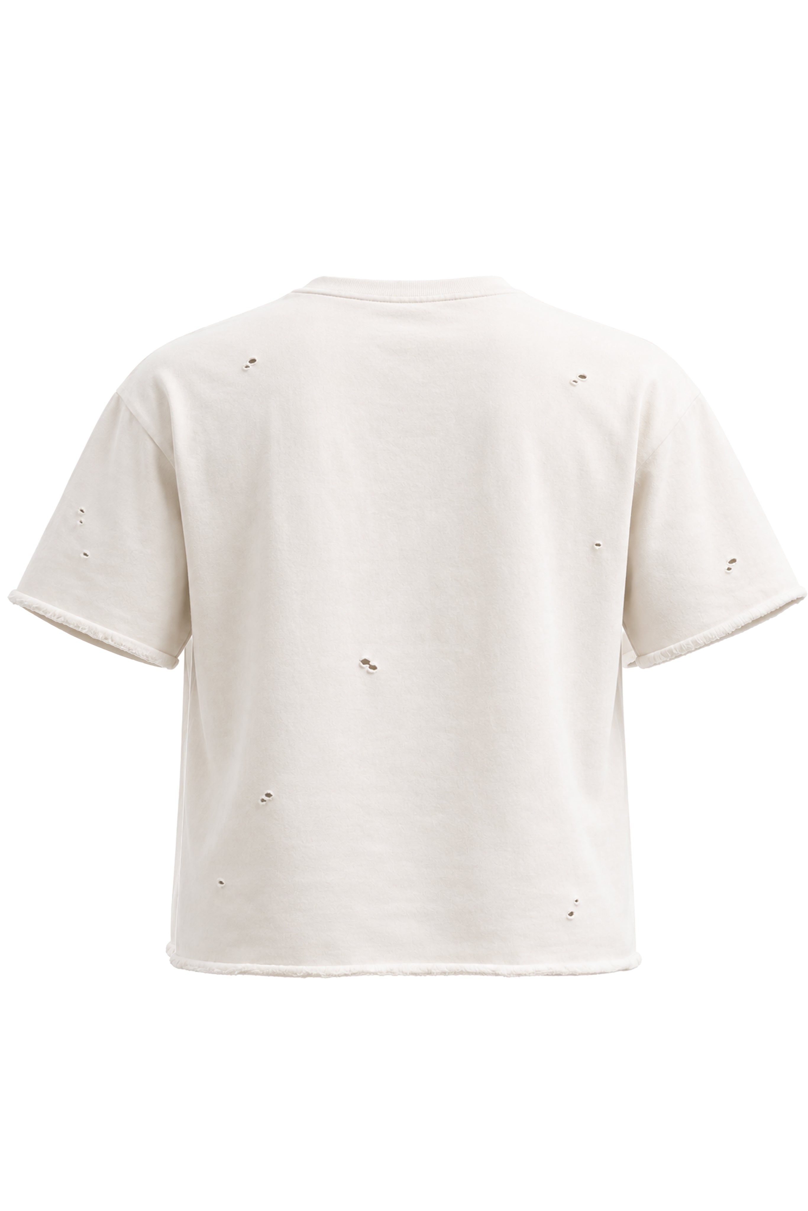 Please Don’t Put Me In Your Dump Tee